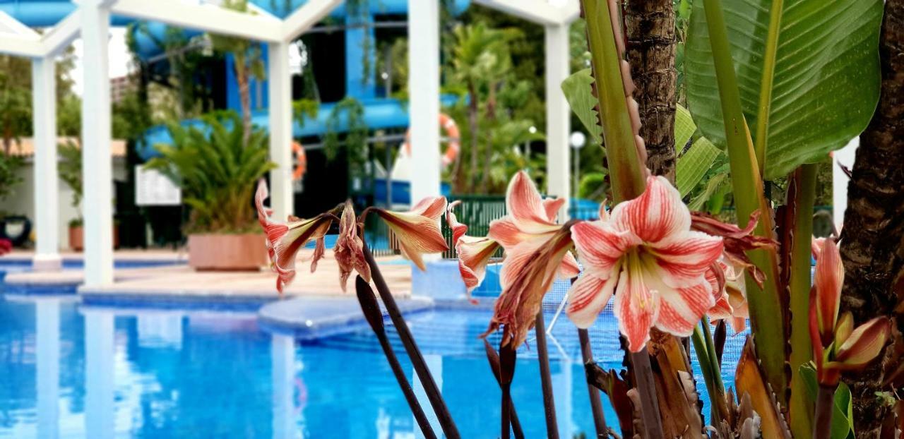 El Estudio De La Playa Benalbeach Holidays Deluxe Benalmádena Buitenkant foto
